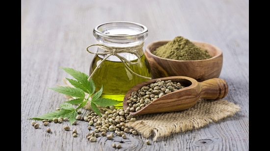 Hemp seeds are considered a complete source of protein, which means they provide all the essential amino acids. (Photo: Shutterstock)