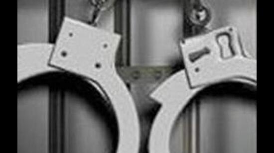 Case has been registered by Ludhiana police against the five arrested accused for booze parties under sections of IPC and sections of Excise Act. (Representative Photo/HT Files)