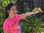 Katrina Kaif shared a glimpse of her time in Maldives on Instagram. Katrina Kaif shared a glimpse of her time in Maldives on Instagram. 