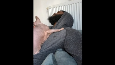 The image, taken from the Reddit video, shows the cat and its human. (Reddit/letsgoknarf)