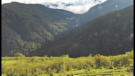 The ministry said state authorities are free to ask for essential or additional details related to a project. (HT Photo/Representative Image) The ministry said state authorities are free to ask for essential or additional details related to a project. (HT Photo/Representative Image)