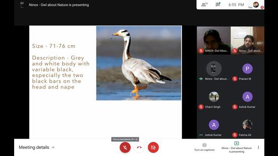 Some bird watchers are stepping out individually to collect video footage of migratory birds and share it with other birding enthusiasts, through virtual sessions.