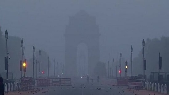 Delhi has already recorded 12 days this month where the maximum temperature was below the 17-degree mark.(ANI Photo)