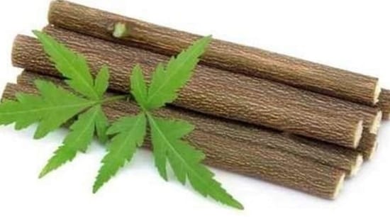 2. Use neem and babul twigs for brushing your teeth: These herbs are anti-microbial. Chewing them releases anti-bacterial agents that helps maintain oral health.(Pinterest)