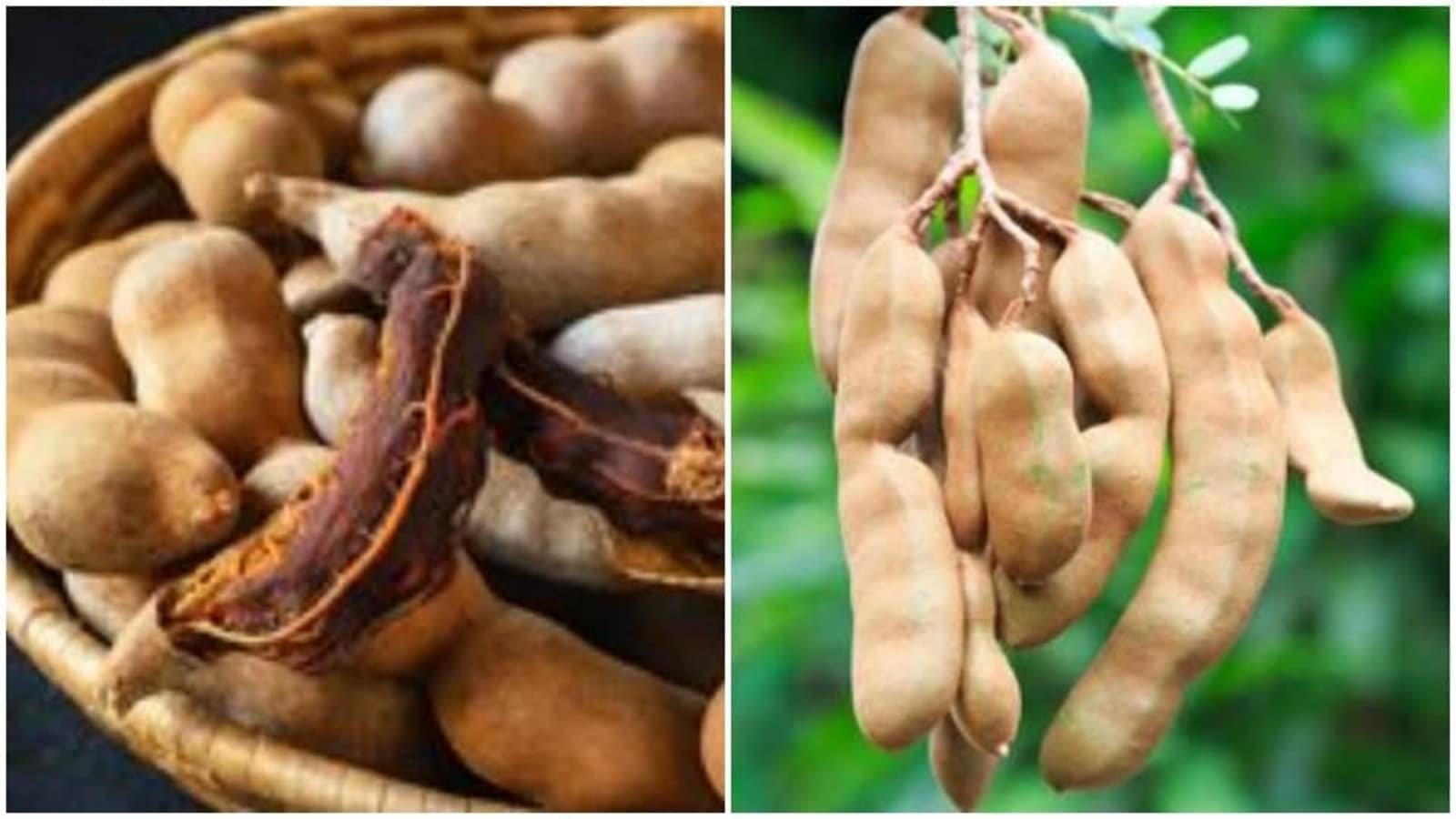 Know The Amazing Health Benefits Of Having Tamarind Every Day ...