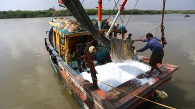 Indian fishermen load ice into a boat to be used for storing fish at Nizampatnam fishing harbor in Guntur district of Andhra Pradesh. (AP Photo for Representation)