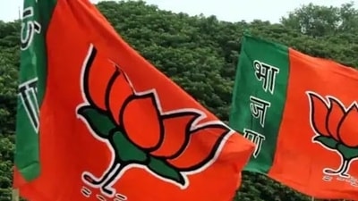 BJP flags (Image used for representation)