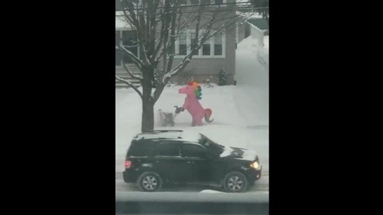 The image, taken from the viral video, shows the ‘pink unicorn’ shovelling snow.(Twitter/ @buitengebieden_) The image, taken from the viral video, shows the ‘pink unicorn’ shovelling snow.(Twitter/ @buitengebieden_)