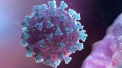 Ludhiana has 17 active micro-containment zones at present in view of the large number of Covid infections being detected here. (HT File) Ludhiana has 17 active micro-containment zones at present in view of the large number of Covid infections being detected here. (HT File)