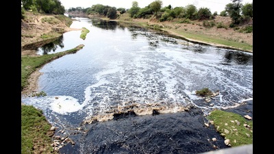 A joint committee of the Central Pollution Control Board, Punjab Pollution Control Board and Chandigarh Pollution Control Committee (CPCC) may monitor compliance, the NGT has ordered (HT File)
