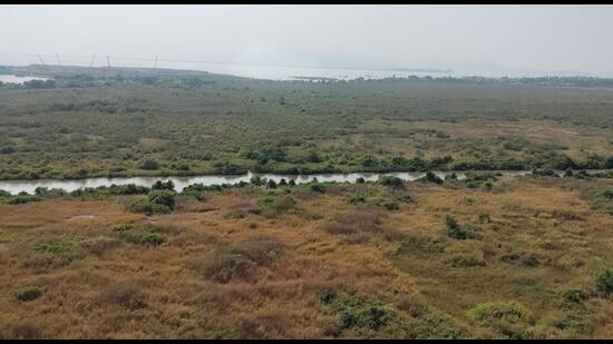 Environmentalists want a top-level investigation into the destruction of a vast stretch of mangroves in the Thane Creek near the Airoli toll naka. (For representational purposes only) (HT FILE PHOTO)