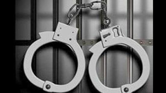 Ludhiana police officials said a case under Section 380 (theft) of the Indian Penal Code has been registered against the accused for felling and fleeing with the Khair trees. (HT File)