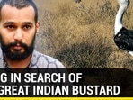 GOING IN SEARCH OF THE GREAT INDIAN BUSTARD