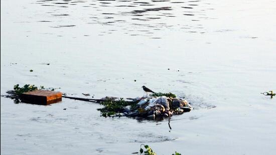 Polluted Mula Mutha river in Pune. NGT has instructed PMC to form an expert committee, headed by principal secretary of Maharasthra, to monitor dumping and sewage release in Mutha river. (HT FILE)
