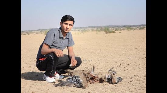 Radheshyam Pemani Bishnoi, a volunteer with the ERDS Foundation, with a great Indian bustard killed in a collision with a high-voltage power line. (Photo courtesy RP Bishnoi)