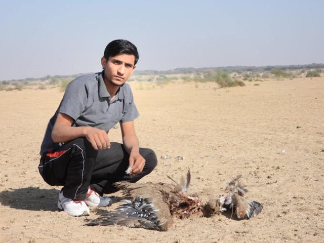 Radheshyam Pemani Bishnoi, a volunteer with the ERDS Foundation, with a great Indian bustard killed in a collision with a high-voltage power line. (Photo courtesy RP Bishnoi) Radheshyam Pemani Bishnoi, a volunteer with the ERDS Foundation, with a great Indian bustard killed in a collision with a high-voltage power line. (Photo courtesy RP Bishnoi)