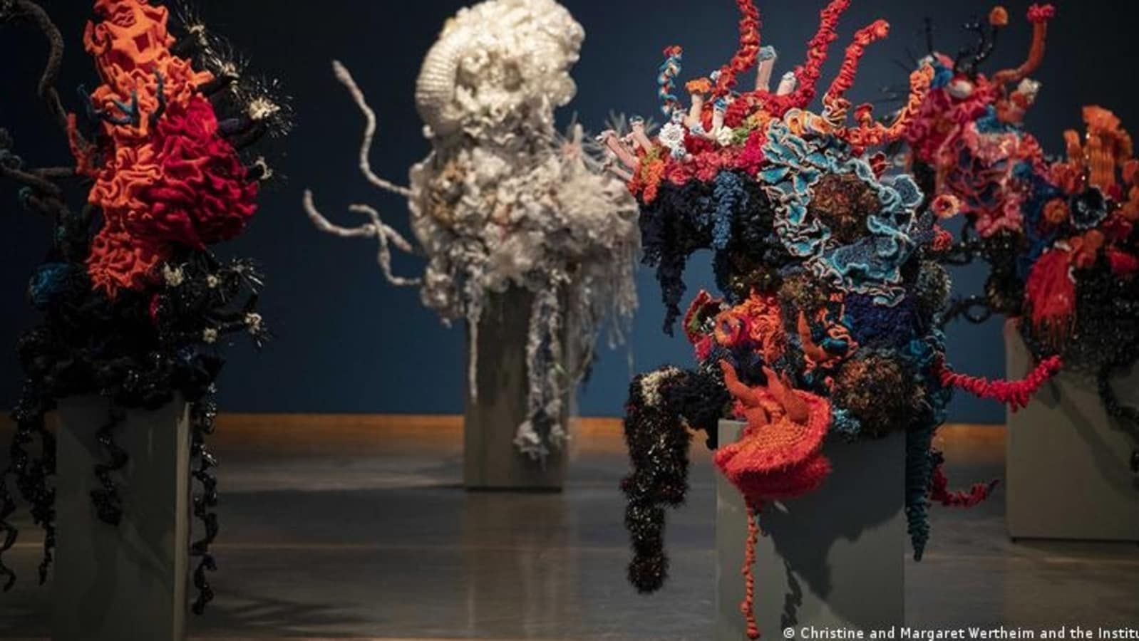 Crocheted ocean art to fight global warming 