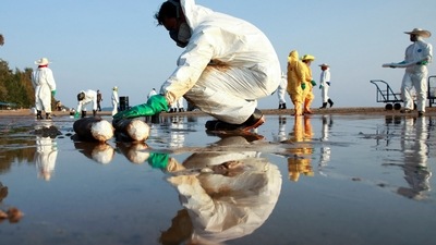 Workers clean oil spill caused by a leak from an undersea pipeline 20 km (12.4 miles) off Thailand's eastern coast at Mae Ramphueng beach in Rayong province, Thailand &nbsp; (REUTERS/Soe Zeya Tun)
