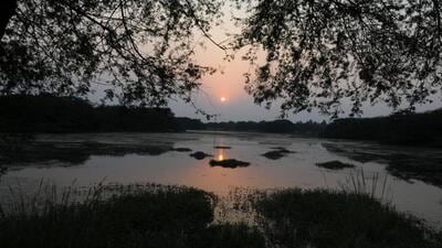 In August last year, the Sultanpur national park was notified as a Ramsar site--a wetland of international importance notified by the Union ministry of environment. (HT archive) In August last year, the Sultanpur national park was notified as a Ramsar site--a wetland of international importance notified by the Union ministry of environment. (HT archive)