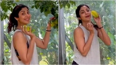 Shilpa Shetty enjoys Vitamin C-rich superfood Kamrakh or Star Fruit to strengthen immunity in new video: Watch Shilpa Shetty enjoys Vitamin C-rich superfood Kamrakh or Star Fruit to strengthen immunity in new video: Watch