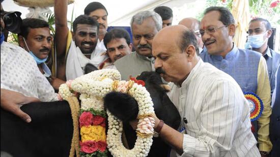 The chief minister adopted 11 cows from the Rashtrothana Gau Shala (cow shelter) on his birthday which his office called as the “way for cow protection”. (HT) The chief minister adopted 11 cows from the Rashtrothana Gau Shala (cow shelter) on his birthday which his office called as the “way for cow protection”. (HT)