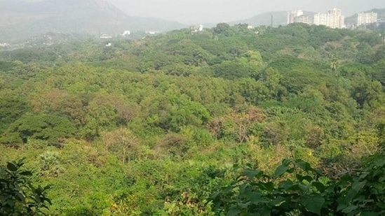 India added 1,540 sqkm of forest cover to 713,789 sqkm in 2021, said the ISFR 2021. (Representative Image)