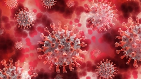 Currently, there is no good way to predict how the immune system will respond to the virus that causes COVID-19 or other disease-causing microbes.(Pixabay)