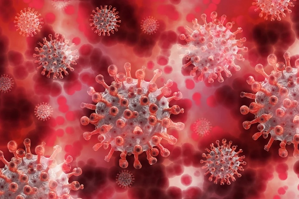 Scientists must urgently answer whether these infections are sexually transmissible, how often and how long that happens, and who is at risk. (Pixabay) Scientists must urgently answer whether these infections are sexually transmissible, how often and how long that happens, and who is at risk. (Pixabay)