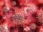 Covid-infected HIV patient developed 21 mutations, shows new study(Pixabay) Covid-infected HIV patient developed 21 mutations, shows new study(Pixabay)