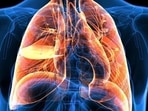 Recent research shows that both Covid-19 and lung cancer share common symptoms, diagnostic criteria and management.(Shutterstock)