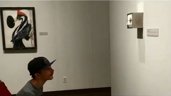 The image shows the man looking at the art installation.(Instagram/@allthingsfrost)