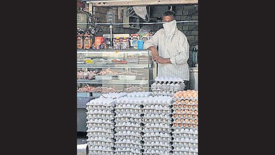 The price of eggs in Chandigarh is currently around ₹5.2 per egg, after going up to ₹6 per egg here earlier this month, when bought as trays of 100 eggs together. (HT File)
