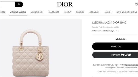 Inside Nora Fatehi's 6 expensive bag collection: Christian Dior for days  and Prada for nights