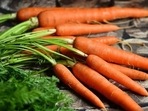 With countless benefits, carrots are one of the best foods we can have this winter season.(Pixabay) With countless benefits, carrots are one of the best foods we can have this winter season.(Pixabay)