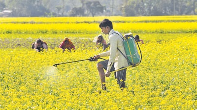 The Budget proposed to ramp up drone-based technologies in agriculture, digitisation of land records, and spraying of insecticides and nutrients. (PTI)