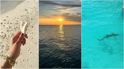 Are you also craving a beach holiday after looking at these pics? (Instagram/@malavikamohanan_) Are you also craving a beach holiday after looking at these pics? (Instagram/@malavikamohanan_)