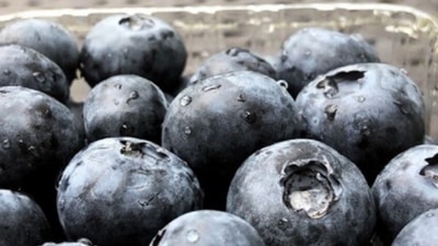 High antioxidants levels: Anthocyanin that also gives blueberry its trademark blue colour is a type of flavonoid that is responsible for the fruit's many health benefits Flavonoids are basically plant compounds that have powerful antioxidant properties. (Instagram/Nmami Agarwal) High antioxidants levels: Anthocyanin that also gives blueberry its trademark blue colour is a type of flavonoid that is responsible for the fruit's many health benefits Flavonoids are basically plant compounds that have powerful antioxidant properties. (Instagram/Nmami Agarwal)