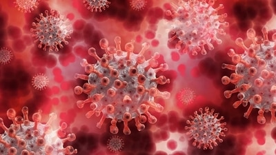 SARS-CoV-2 RNA causing Covid-19 detected in tiny airborne particles inside and outside infected person's room: Study (Pixabay) SARS-CoV-2 RNA causing Covid-19 detected in tiny airborne particles inside and outside infected person's room: Study (Pixabay)