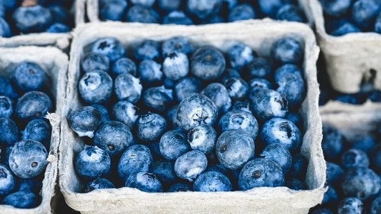 A popular superfood and the preferred flavouring for many drool-worthy desserts, blueberries pack in a lot of health benefits. High on antioxidants and low in calories, this sweet and very popular fruit is said to be good for your heart, protect against ageing, lower blood pressure and improve memory. Nutritionist Nmami Agarwal tells you some of its benefits in her recent Instagram post.(Pixabay)