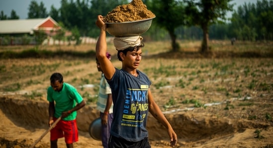 There was some expectation from the private sector to boost flailing personal consumption with schemes such as an urban MGNREGS. On the contrary, the government cut even the rural MGNREGS budget.&nbsp;(Shutterstock)