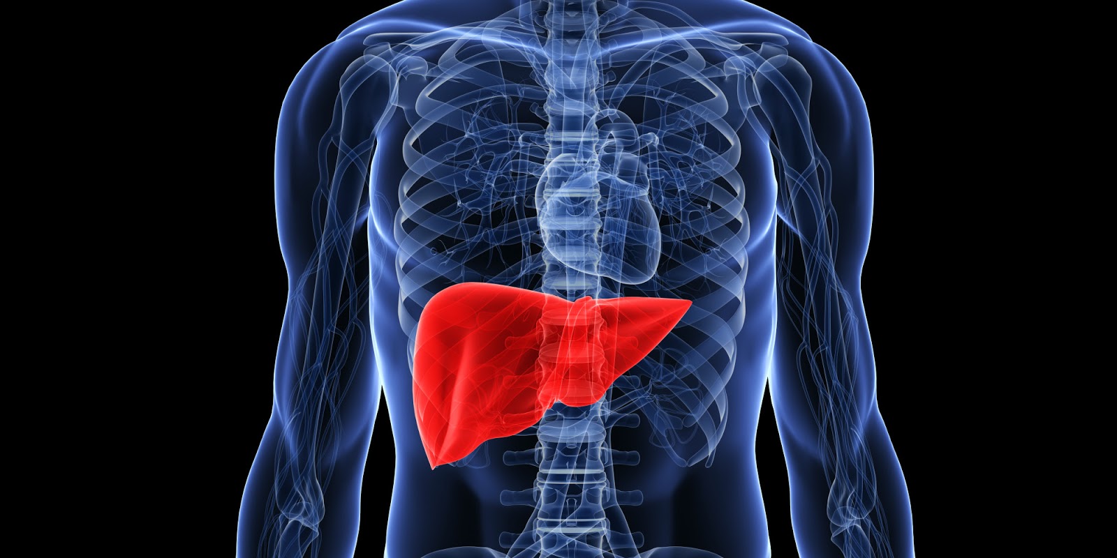 Making healthy lifestyle modifications remains the cornerstone of fatty liver disease treatment. (Twitter/AHealthyBod)