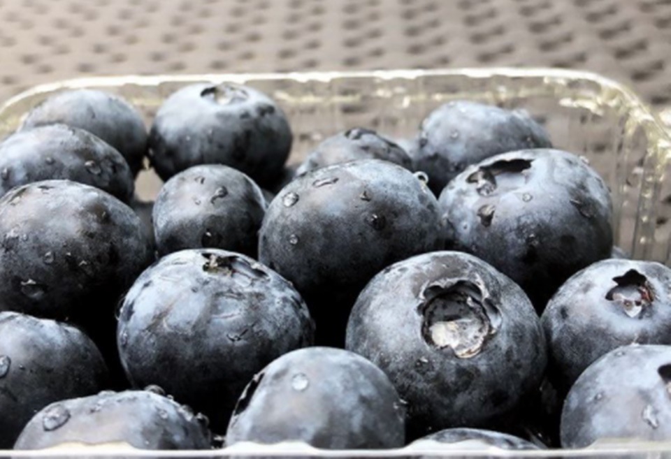 ப்ளூபெர்ரி பழம் தரும் ஆரோக்கிய நன்மைகள்!incredible health benefits of