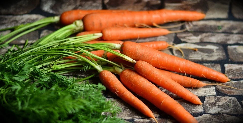 With countless benefits, carrots are one of the best foods we can have this winter season. (Pixabay) With countless benefits, carrots are one of the best foods we can have this winter season. (Pixabay)