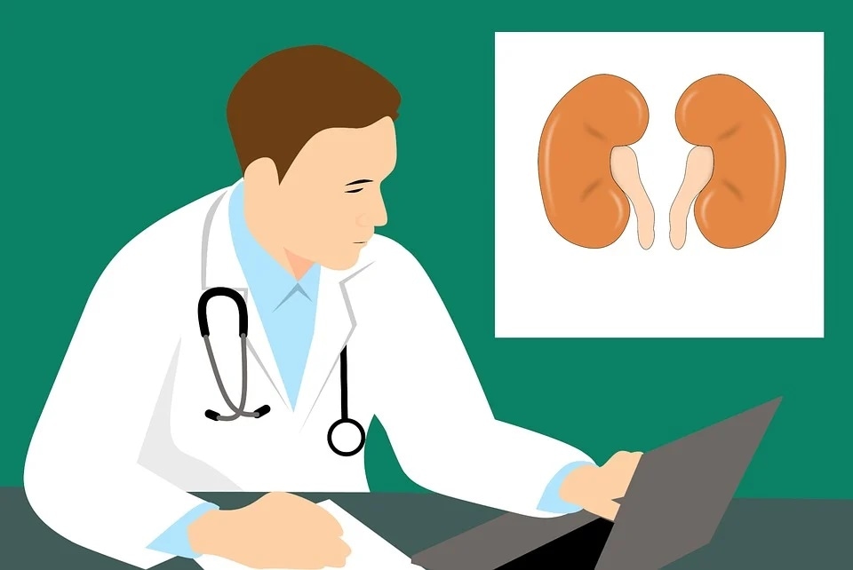 Kidney cancers are not easily diagnosed as most of them do not cause any symptoms (Pixabay) Kidney cancers are not easily diagnosed as most of them do not cause any symptoms (Pixabay)