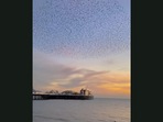 Screengrab from the video where starling birds ‘cloud’ the sky during murmuration. (Jukin Media) Screengrab from the video where starling birds ‘cloud’ the sky during murmuration. (Jukin Media)