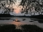 In August last year, the Sultanpur national park was notified as a Ramsar site - a wetland of international importance.(HT File Photo) In August last year, the Sultanpur national park was notified as a Ramsar site - a wetland of international importance.(HT File Photo)