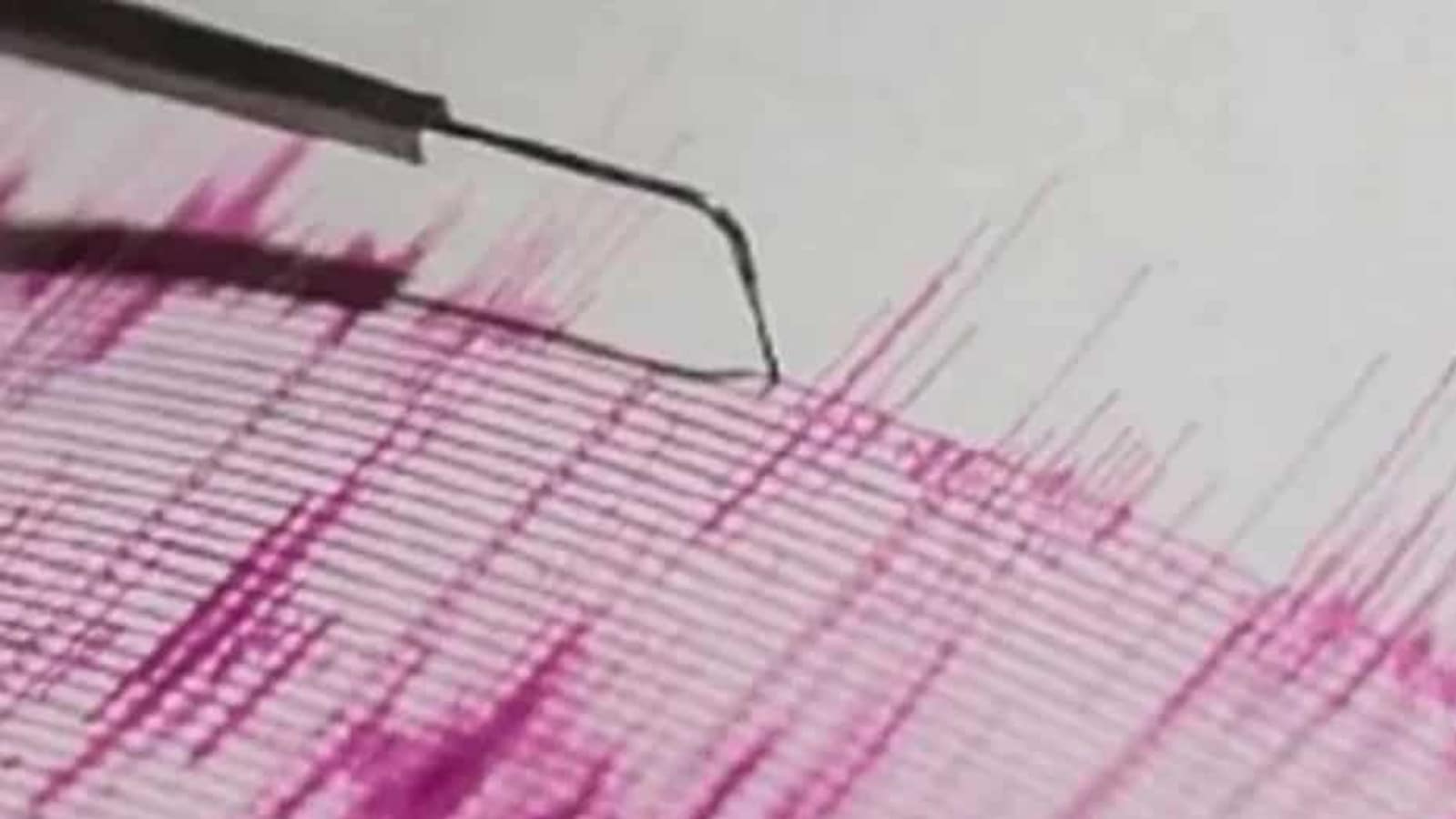 Earthquake of magnitude 6 hits Timor-Leste |  World News