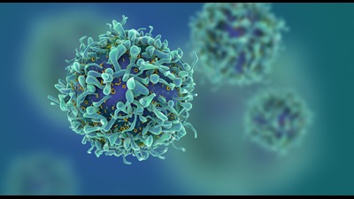 3D illustration of cancer cells (Shutterstock) 3D illustration of cancer cells (Shutterstock)
