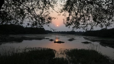 In August last year, the Sultanpur national park was notified as a Ramsar site - a wetland of international importance. (HT File Photo) In August last year, the Sultanpur national park was notified as a Ramsar site - a wetland of international importance. (HT File Photo)