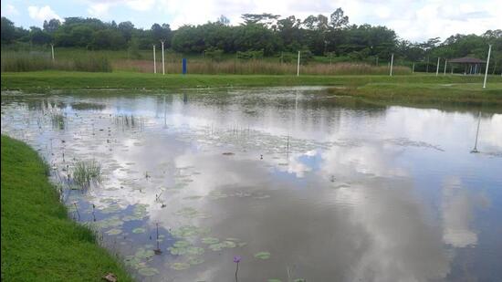 Natural coastal wetlands lost around 73,961 ha over a decade. (HT Photo/Representative image) Natural coastal wetlands lost around 73,961 ha over a decade. (HT Photo/Representative image)